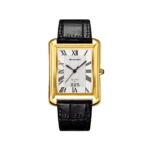 SKMEI 2575 Stainless Steel Luxury Quartz Movement Men’s Business Fashion Roman Numeral Square Case Leather Strap- Black Gold